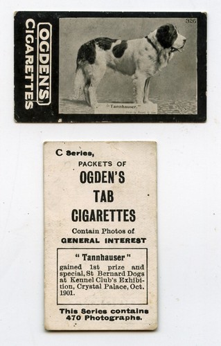 Saint bernard named - bernard,